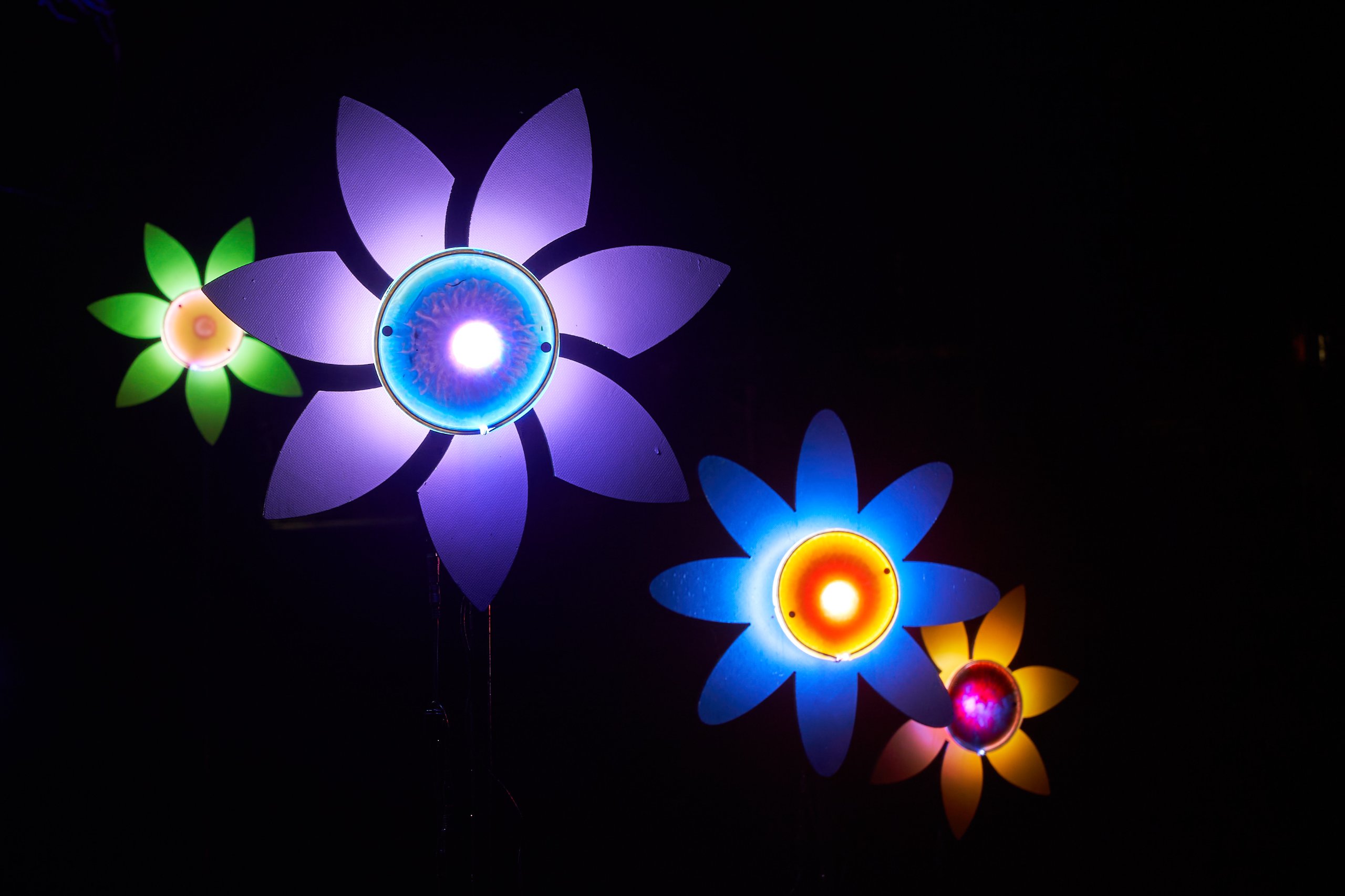 2024 02 23 Parkleuchten 0168